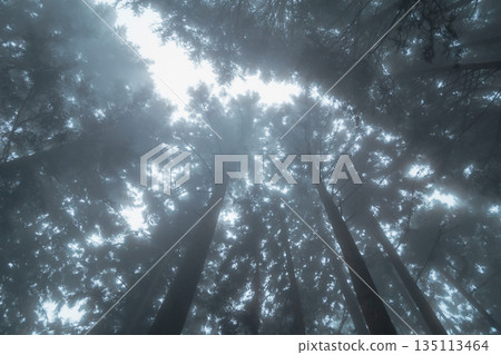 有霧的 霧 薄霧 135113464