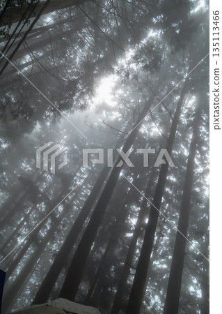 有霧的 霧 薄霧 135113466