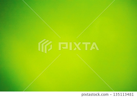 植物 植物學 植物的 135113481