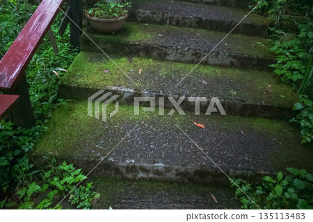 stone steps, ground, step 135113483