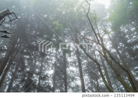 有霧的 霧 薄霧 135113494