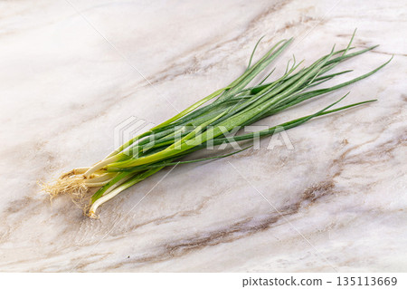 Raw young fresh green onion 135113669