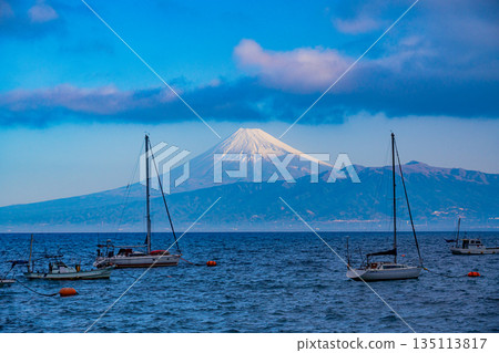(Shizuoka Prefecture) Yachts floating across Suruga Bay and Mount Fuji 135113817