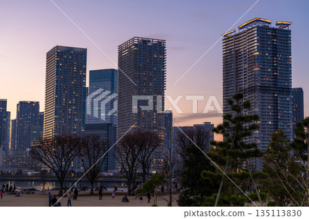 東京：豐洲古魯裡公園和晴見塔樓公寓的夜景 135113830