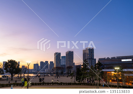 東京:豐洲古魯裡公園和晴見塔樓公寓的夜景 東京:豐洲古魯裡公園和晴見塔樓公寓的夜景 135113833