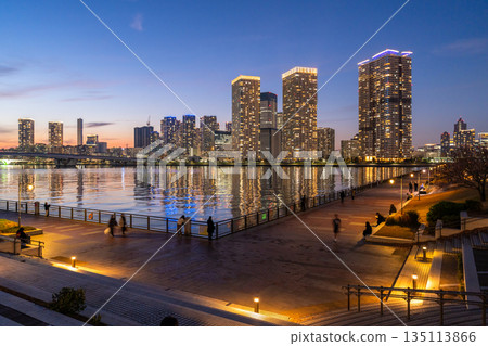 東京:豐洲古魯裡公園和晴見塔樓公寓的夜景 東京:豐洲古魯裡公園和晴見塔樓公寓的夜景 135113866
