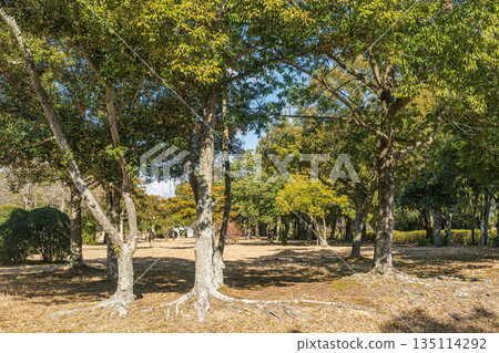 Heijo Palace Ruins National Historic Park, Nara City Heijo Palace Ruins National Historic Park, Nara City 135114292