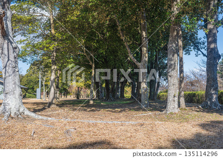 奈良市平城宮遺址國家歷史公園 135114296