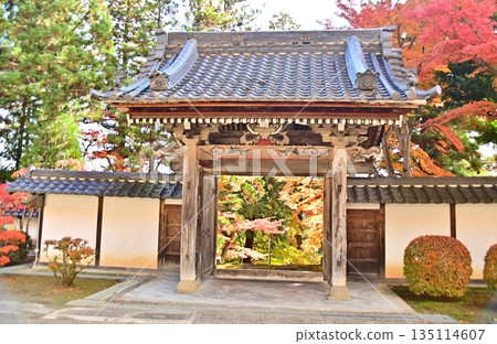 從龍門院庭院望去，秋葉裝飾著大地。 135114607