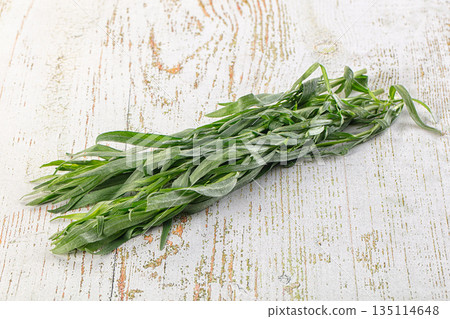 Fresh green estragon aroma stem Fresh green estragon aroma stem 135114648