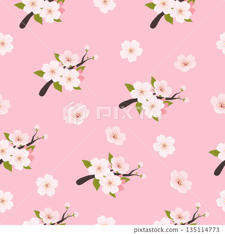 Pink Cherry Blossom Branch Pattern Seamless Illustration Background Pink Cherry Blossom Branch Pattern Seamless Illustration Background 135114773
