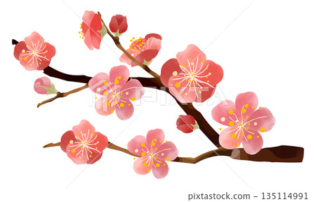 水彩梅花插圖 135114991