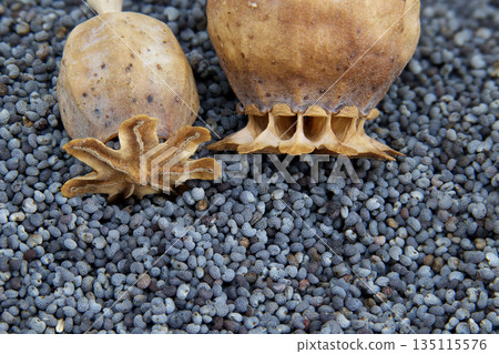Dried poppy seed pods and scattered seeds create a textured natural background for culinary themes Dried poppy seed pods and scattered seeds create a textured natural background for culinary themes 135115576