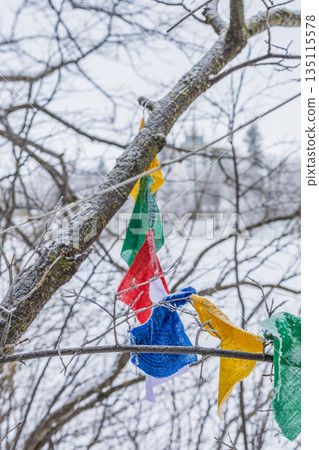 Colorful Prayer Flags In Winter Trees 135115578