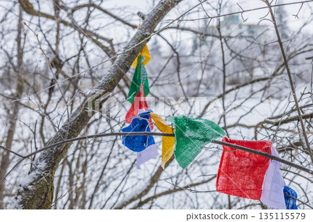 Colorful Prayer Flags In Winter Trees 135115579