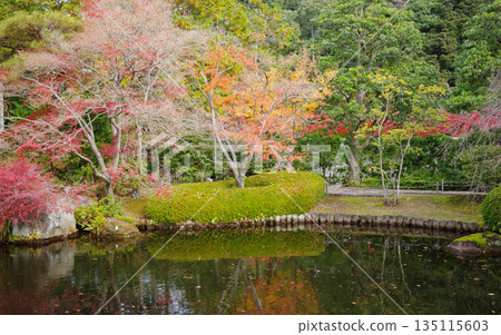 姬路市姬路城西居遺址古古園的秋葉 姬路市姬路城西居遺址古古園的秋葉 135115603
