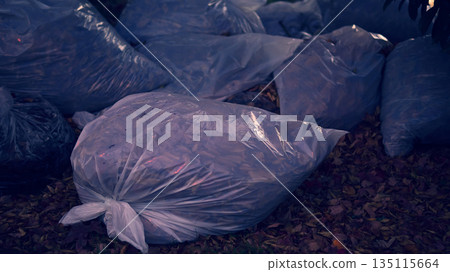 Cleaning of fallen leaves 135115664