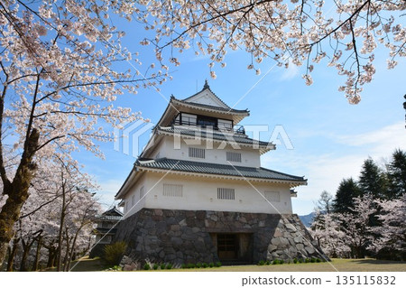 Cherry blossoms at Nagaoka Castle and Nagaoka Local History Museum Cherry blossoms at Nagaoka Castle and Nagaoka Local History Museum 135115832