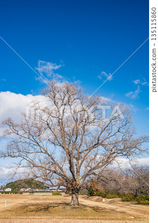 日本奈良市平城宮遺址國家歷史公園 135115860
