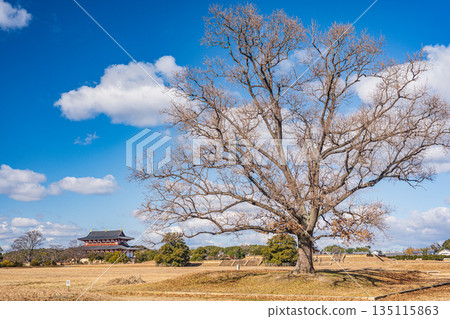 Heijo Palace Ruins National Historic Park, Nara City, Japan Heijo Palace Ruins National Historic Park, Nara City, Japan 135115863