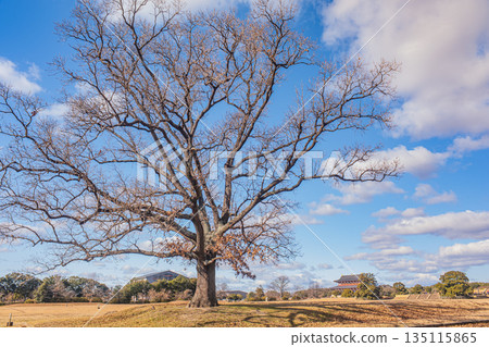 日本奈良市平城宮遺址國家歷史公園 135115865