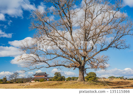 日本奈良市平城宮遺址國家歷史公園 135115866