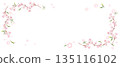 Pale cherry blossom frame, horizontal 135116102