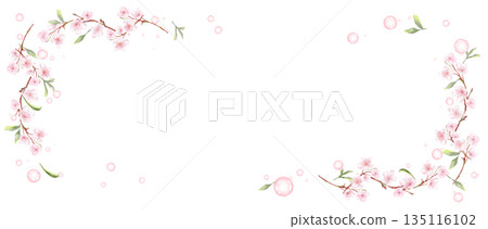 Pale cherry blossom frame, horizontal 135116102