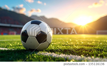 Classic soccer ball resting on green grass field at sunset, with a goal net in the background and warm sunlight flare 135116136
