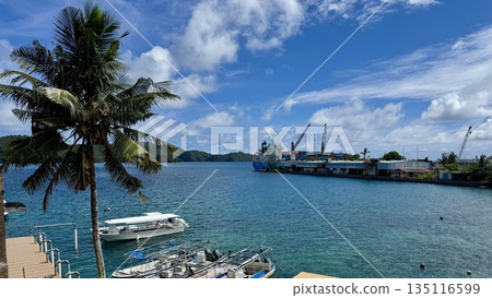 從高處俯瞰港口景色：清晰的海濱自然背景 135116599