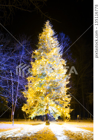 Beautiful illuminated night Beautiful illuminated night 135116778