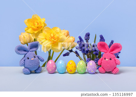 Pink and blue Easter knitted bunnies with multicolored eggs and spring muscari flowers, tulips and daffodils on the blue podium. Concept of Easter Pink and blue Easter knitted bunnies with multicolored eggs and spring muscari flowers, tulips and daffodils on the blue podium. Concept of Easter 135116997