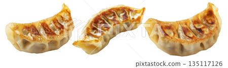 Grilled Japanese gyoza dumpling isolated on white transparent background, concept of traditional Asian cuisine snack 135117126