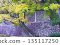 Stone walls and autumn leaves Stone walls 135117250
