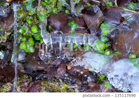 Close-up photo of the frozen water from the small stream Close-up photo of the frozen water from the small stream 135117690