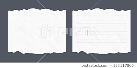 Crumpled Torn Paper Sheets Set Crumpled Torn Paper Sheets Set 135117866