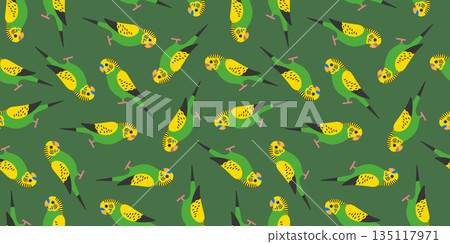 虎皮鸚鵡的無縫背景圖。 135117971