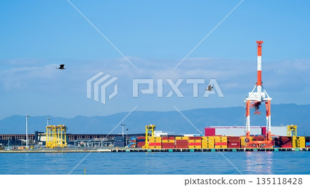 Port scenery: Cormorant flying Port scenery: Cormorant flying 135118428