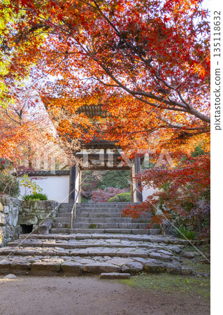 Chogakuji Temple Tower Gate Autumn Foliage Season Chogakuji Temple Tower Gate Autumn Foliage Season 135118632