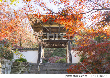 Chogakuji Temple Tower Gate Autumn Foliage Season 135118635