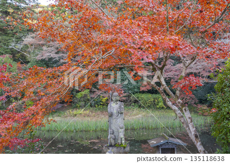 Chogakuji Temple Hojo Pond Autumn Foliage Season Chogakuji Temple Hojo Pond Autumn Foliage Season 135118638