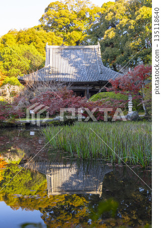 Chogakuji Temple Main Hall Autumn Foliage Season 135118640