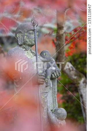 Chogakuji Temple, Compassionate Jizo, Autumn, Autumn Foliage Season Chogakuji Temple, Compassionate Jizo, Autumn, Autumn Foliage Season 135118647