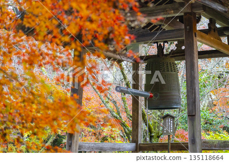 Chogakuji Temple Bell Tower Autumn Foliage Season 135118664