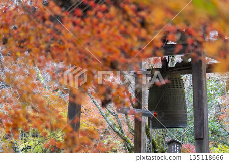 Chogakuji Temple Bell Tower Autumn Foliage Season Chogakuji Temple Bell Tower Autumn Foliage Season 135118666