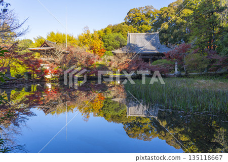 Chogakuji Temple Hojo Pond Autumn Foliage Season Chogakuji Temple Hojo Pond Autumn Foliage Season 135118667