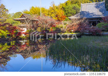 Chogakuji Temple Hojo Pond Autumn Foliage Season Chogakuji Temple Hojo Pond Autumn Foliage Season 135118670