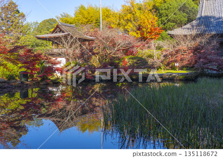 Chogakuji Temple Hojo Pond Autumn Foliage Season Chogakuji Temple Hojo Pond Autumn Foliage Season 135118672