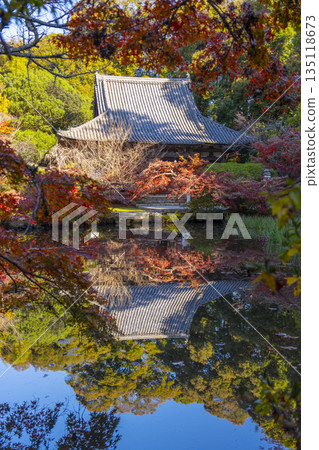 Chogakuji Temple - Main Hall reflected in Hojo Pond - Autumn - Autumn foliage season Chogakuji Temple - Main Hall reflected in Hojo Pond - Autumn - Autumn foliage season 135118673