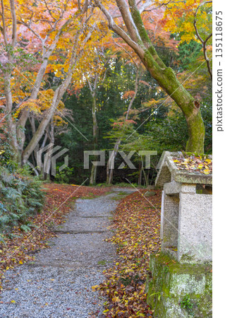 Chogakuji Temple Approach Autumn Foliage Season Chogakuji Temple Approach Autumn Foliage Season 135118675